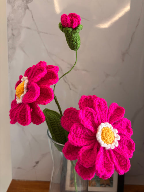 Berry bloom zinnia flower