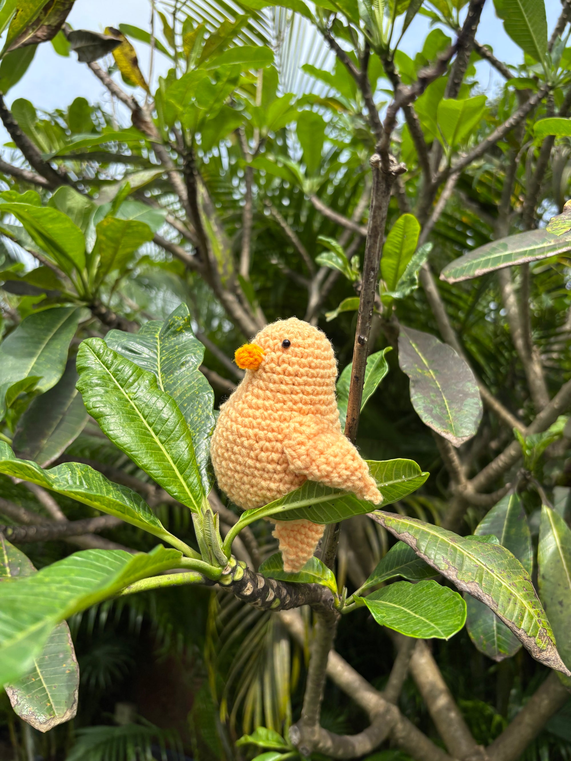 tweety
