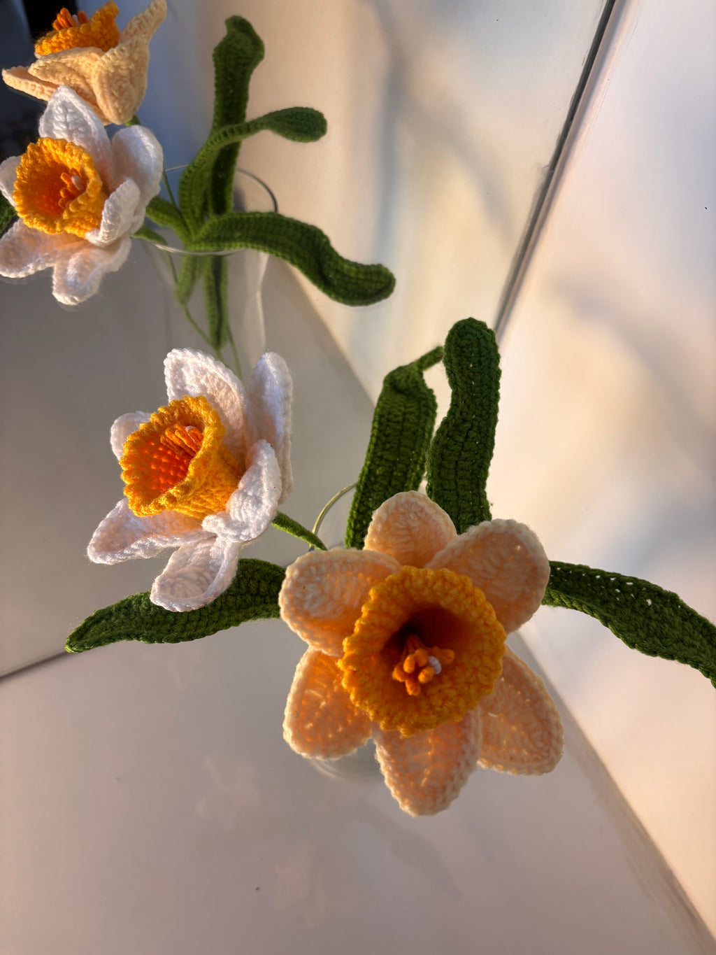 buttercup daffodil