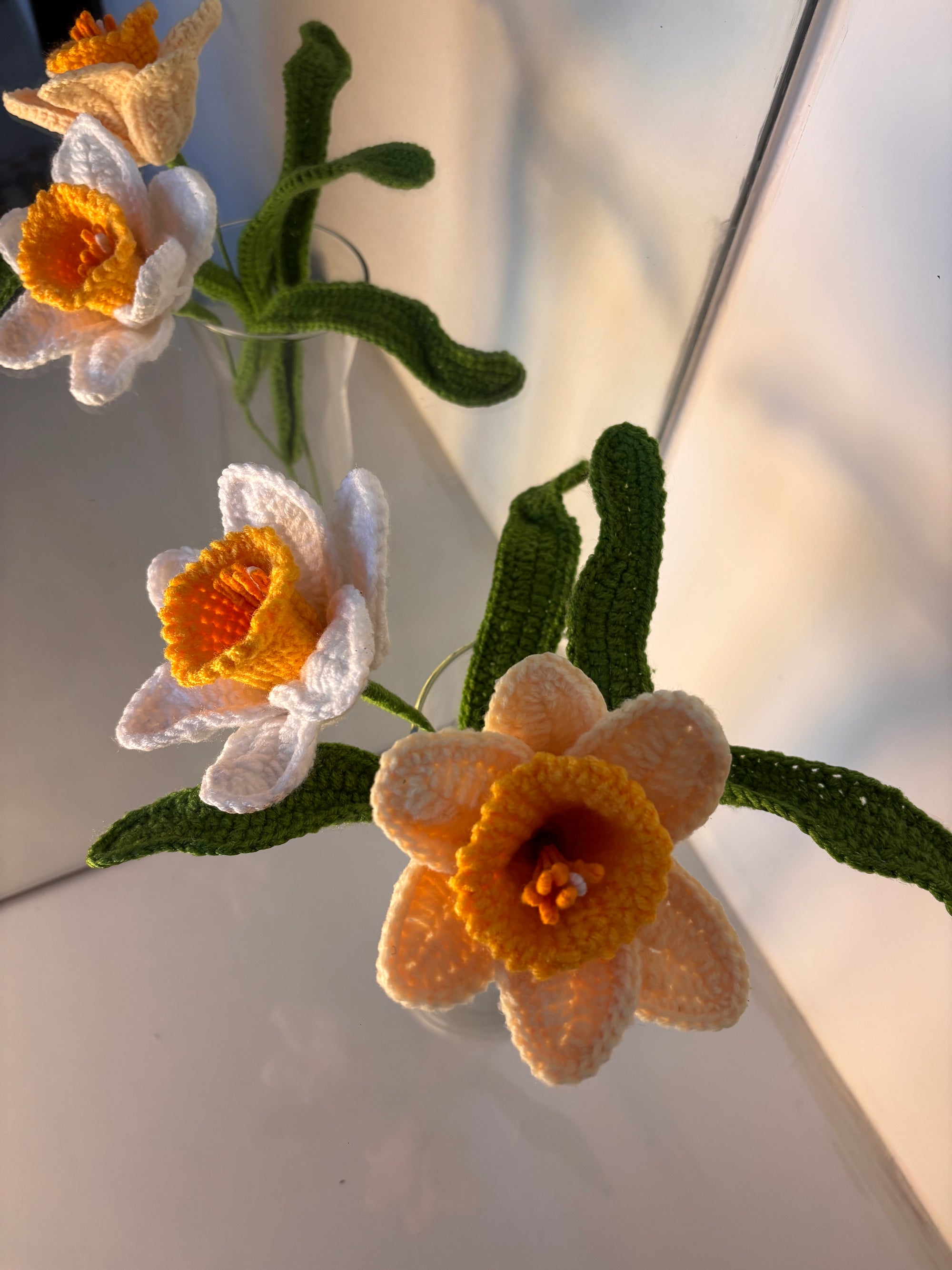 buttercup daffodil