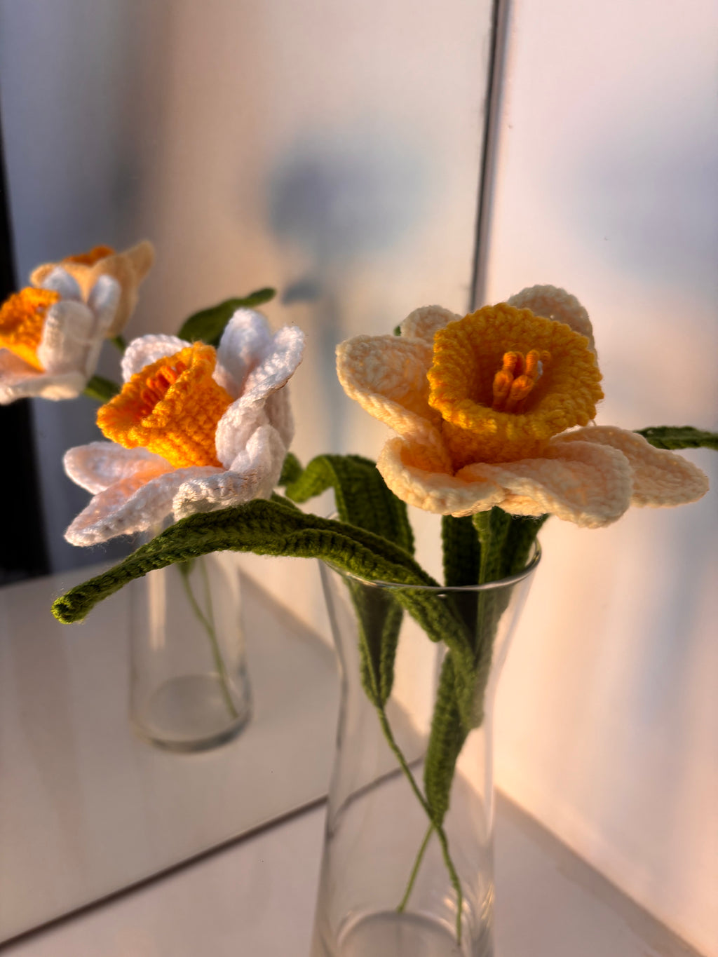 buttercup daffodil