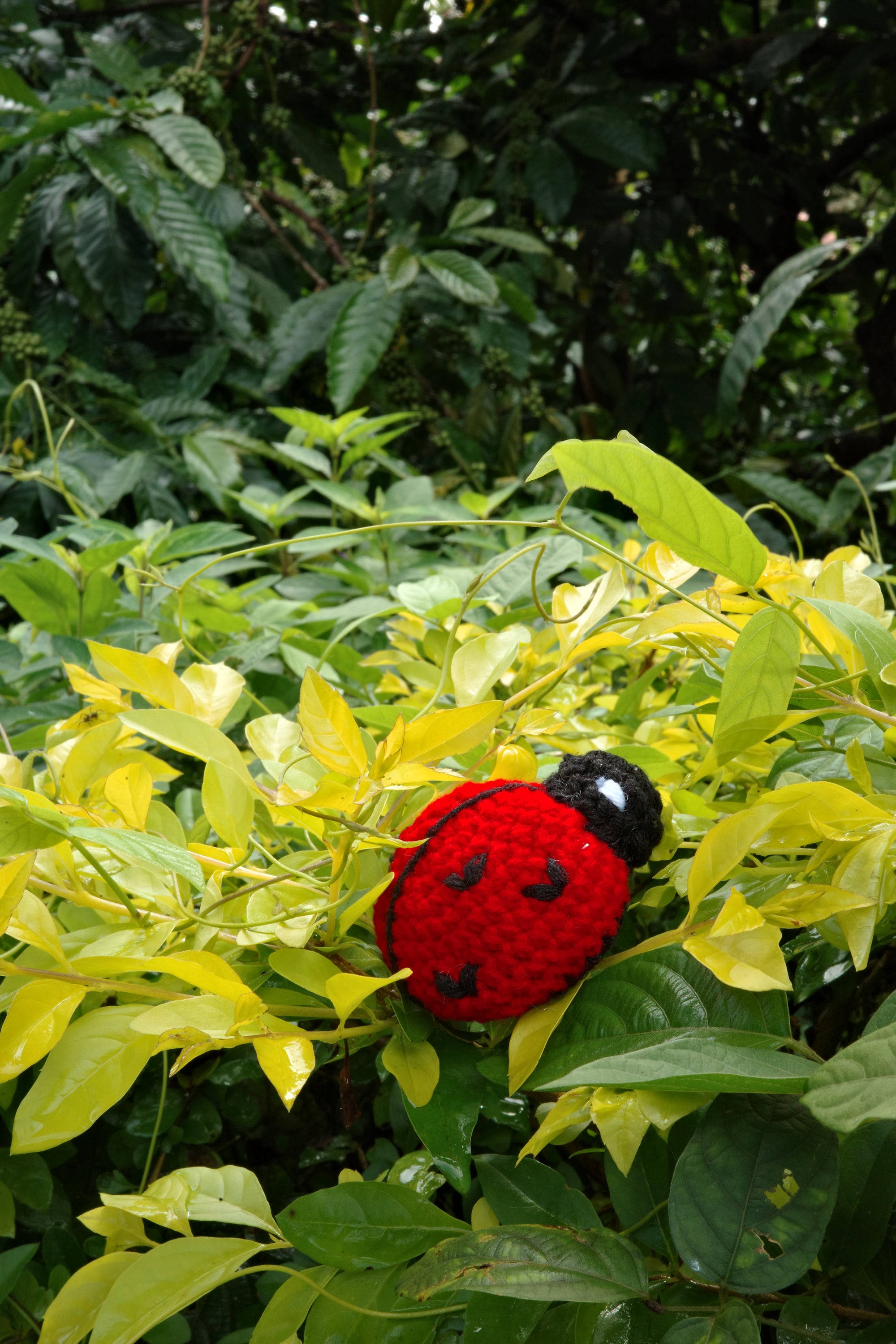 ruby ladybird keychain
