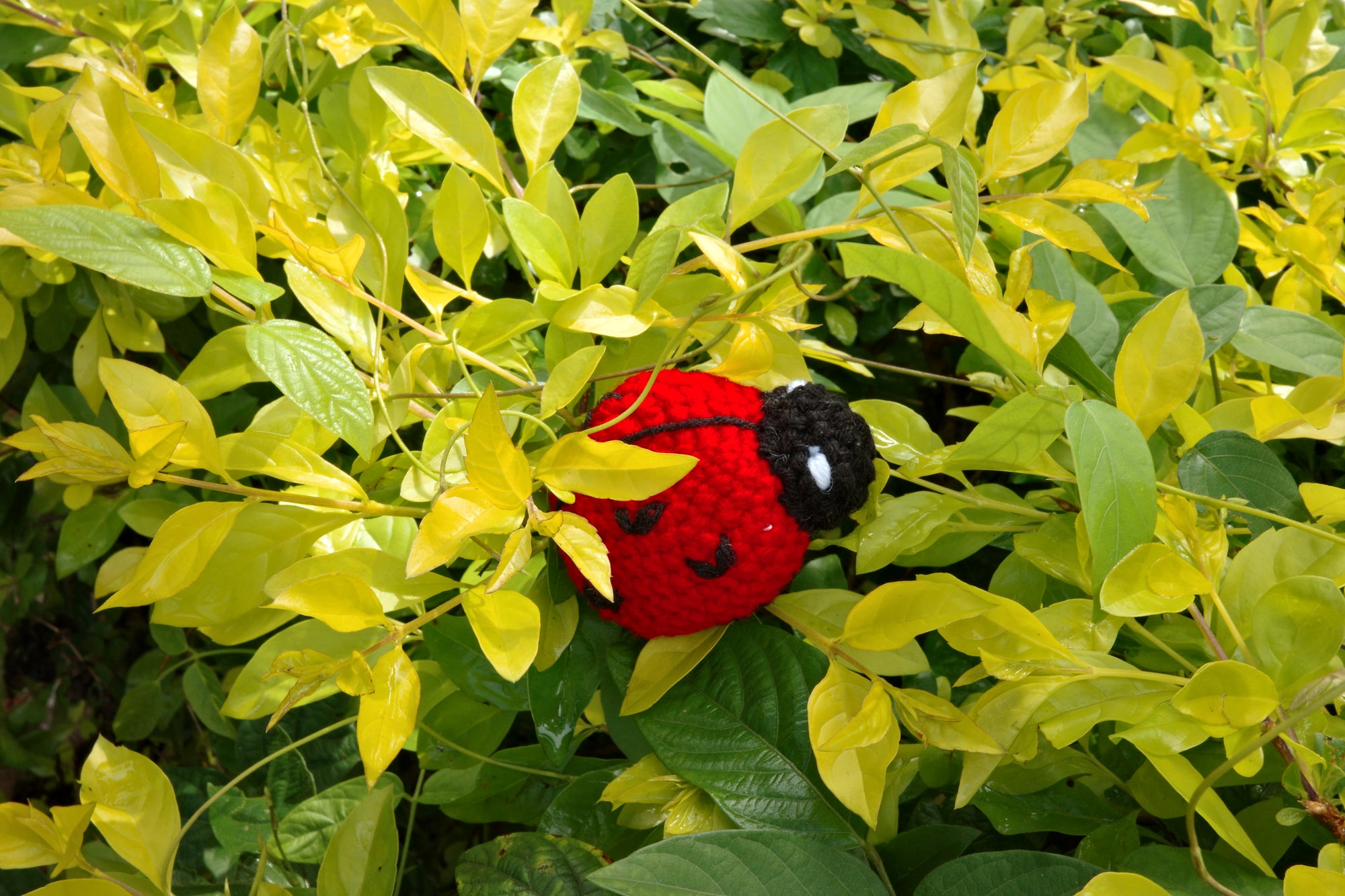 ruby ladybird keychain