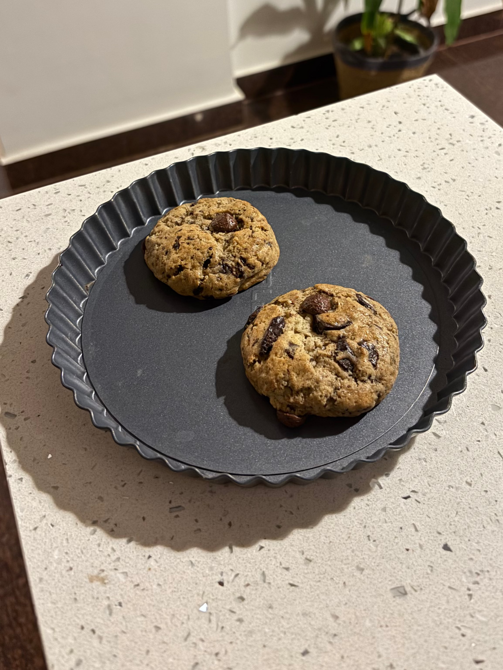 Choco chip cookies