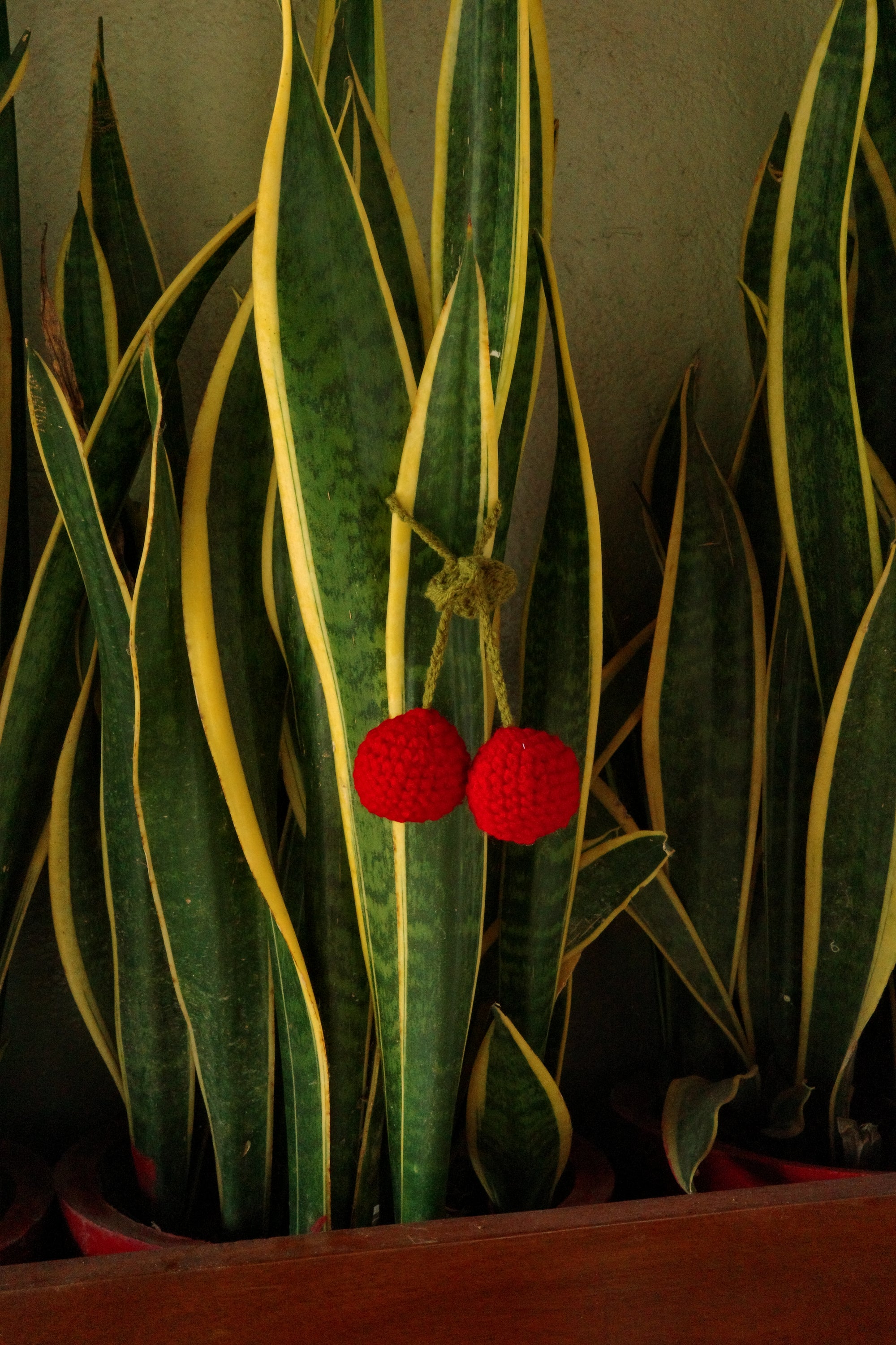 Two red spherical crochet berries on a leafy green plant