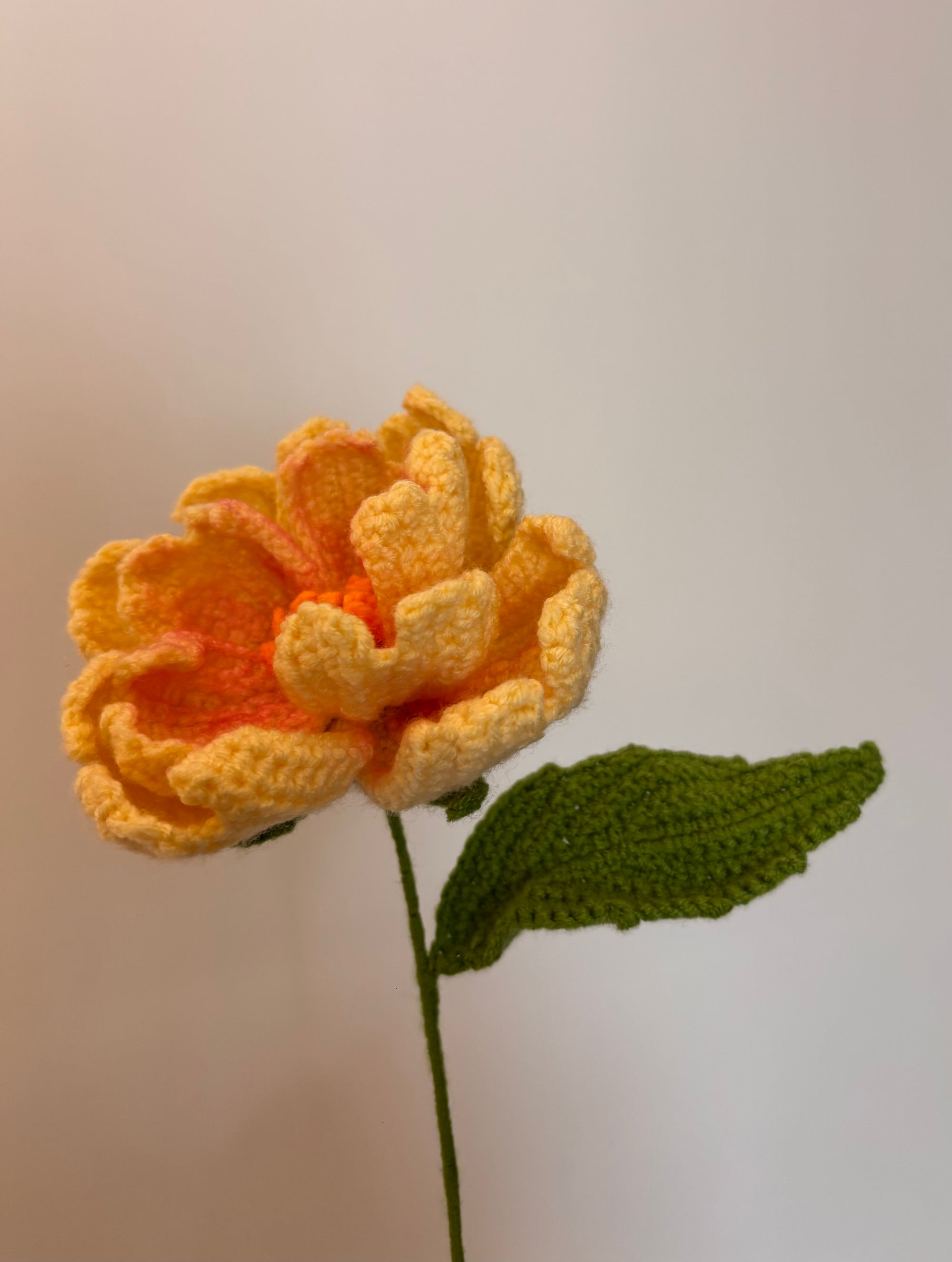 butter yellow crochet peony flower with a lush green leaf