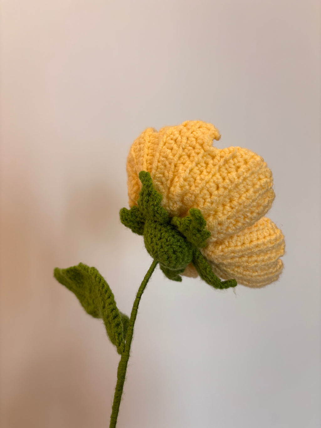 butter yellow crochet peony flower with a lush green leaf