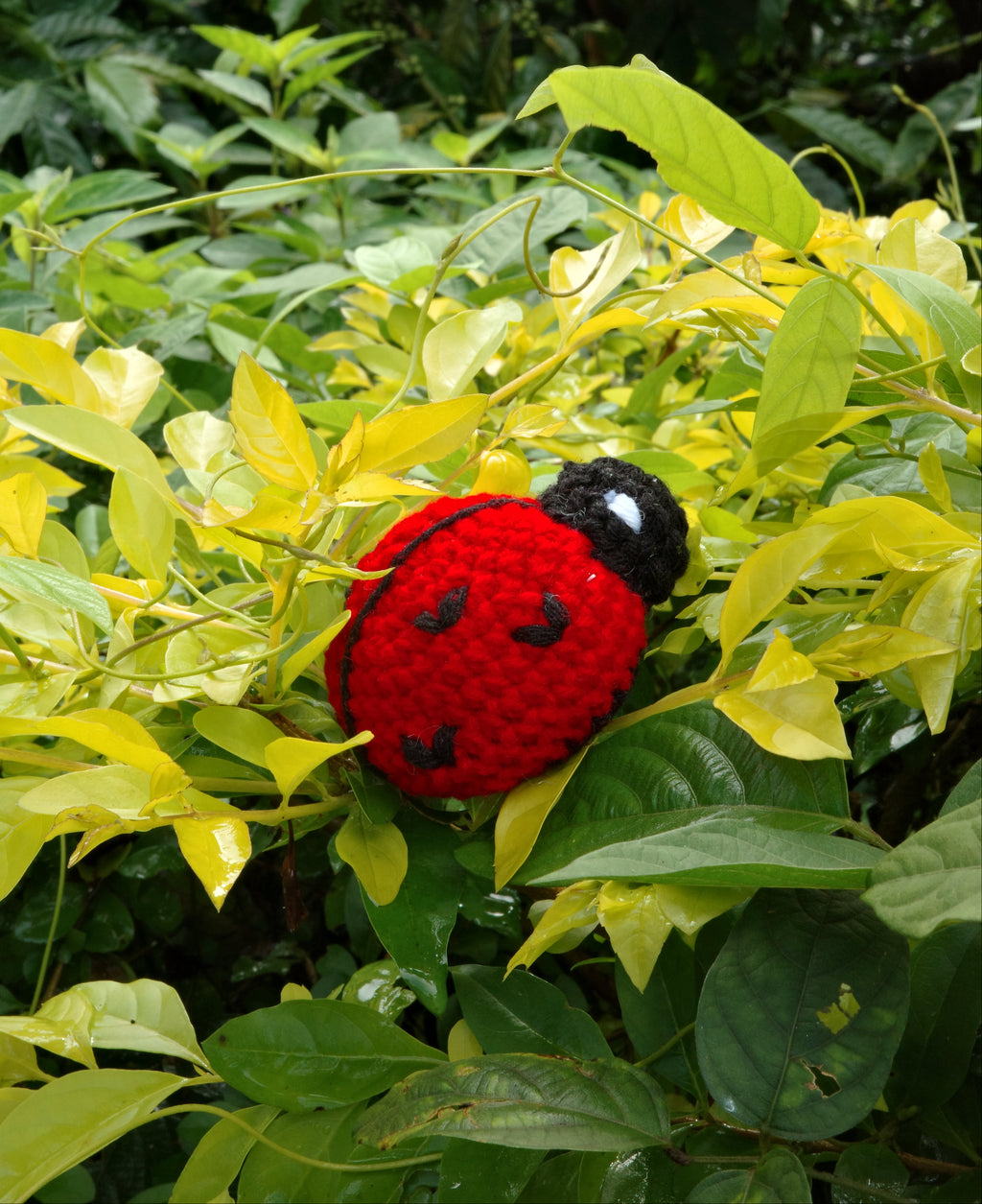 Red and black ladybug plush toy hanging from green leaves